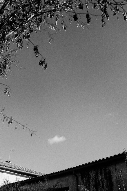 De la lumière, enfin!