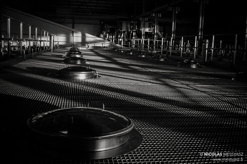 L&rsquo;œil de la part des Anges