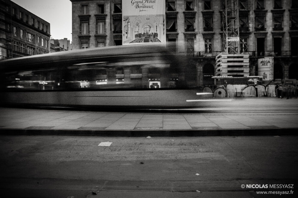 Regarder les chenilles