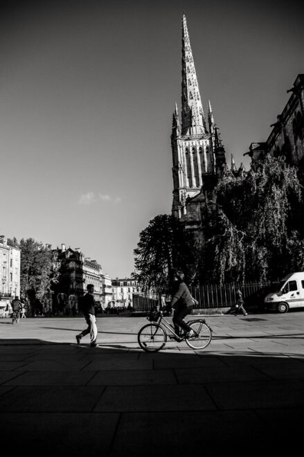Marcher sous les arbres…