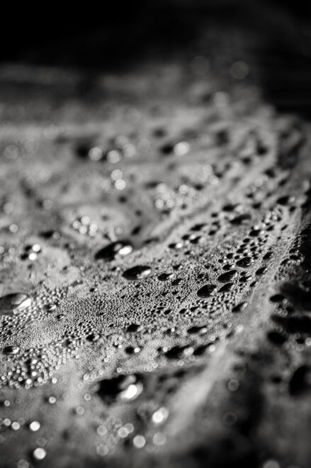 Sous les lignes de Flottaison intime