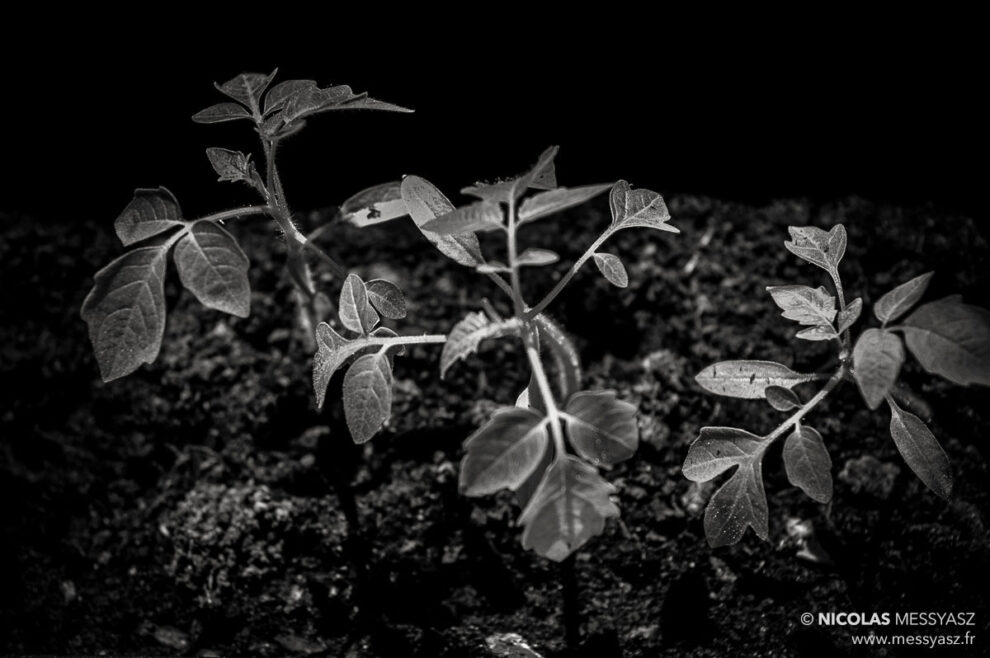 En attendant le soleil