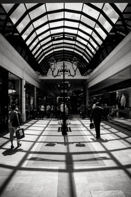 Quelque chose de vivant là-dedans…