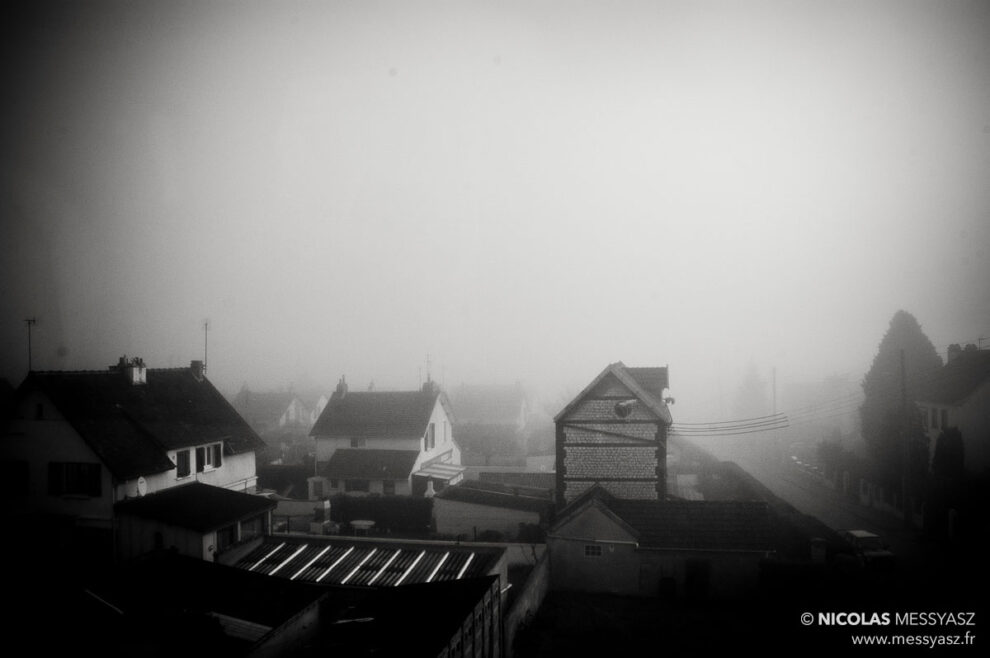 Piégé par la brume