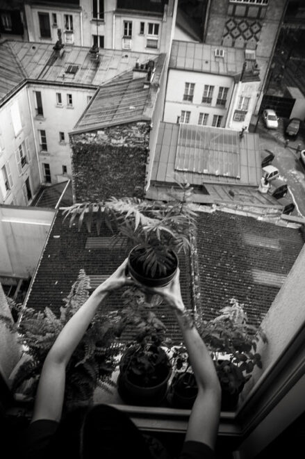 Arrosage automatique