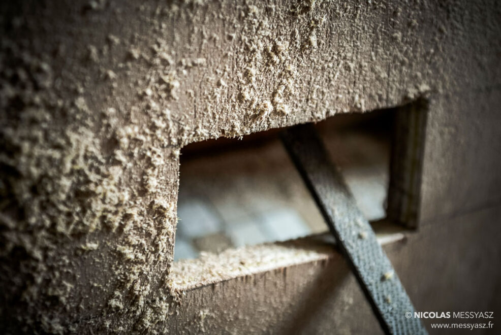 Les patiences infinies