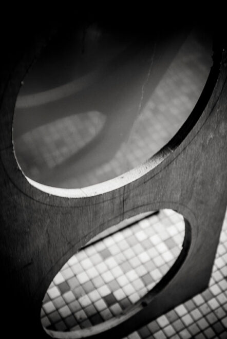 Des cercles dans la foret