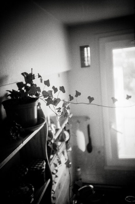 Les petits coeurs