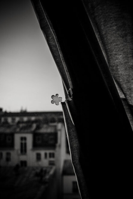 Une fleur dans la tête
