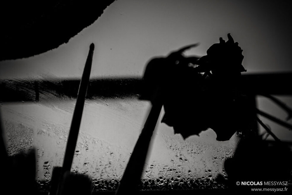 Matin n° 12 411