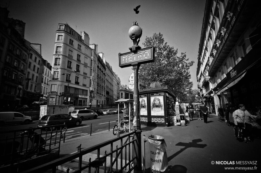 Oiseau de bonne augure