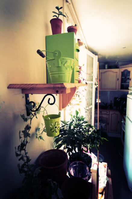 Colore