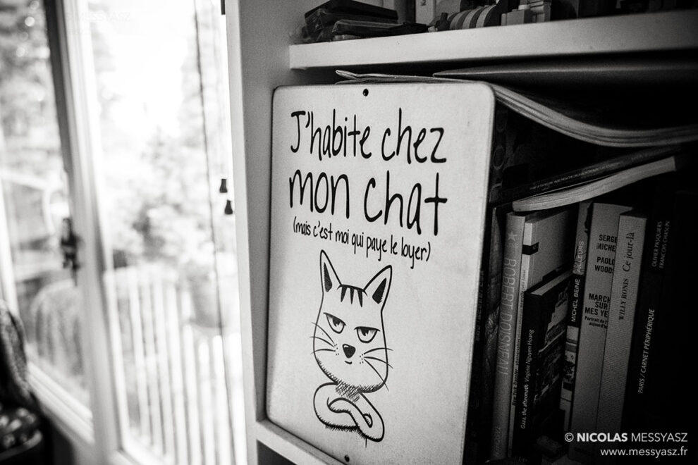 J&rsquo;habite chez mon chat