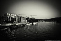 Le long de l'eau
