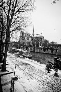 Notre Dame des Cloches Surgelées