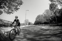 Longchamp des tours en rond