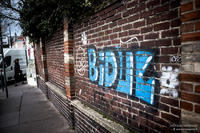 Bidul
