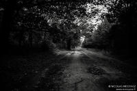Le Chemin