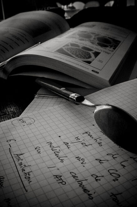 Cours de photosynthèse