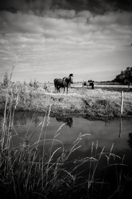 Mais où sont les indiens?