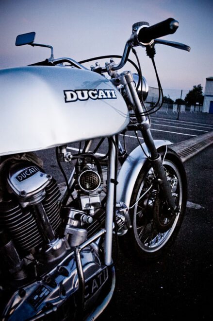 Endormie (Trofeo Rosso)