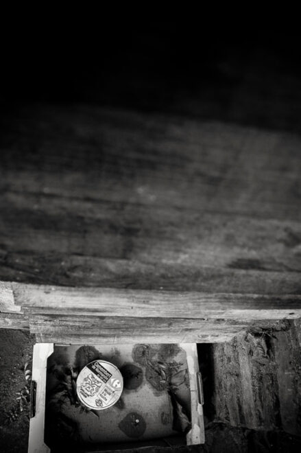 Petit coin de Normandie