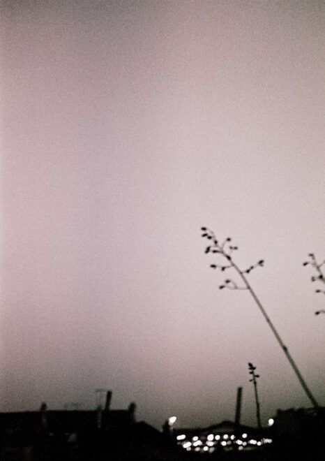 La peine de l&rsquo;Aube