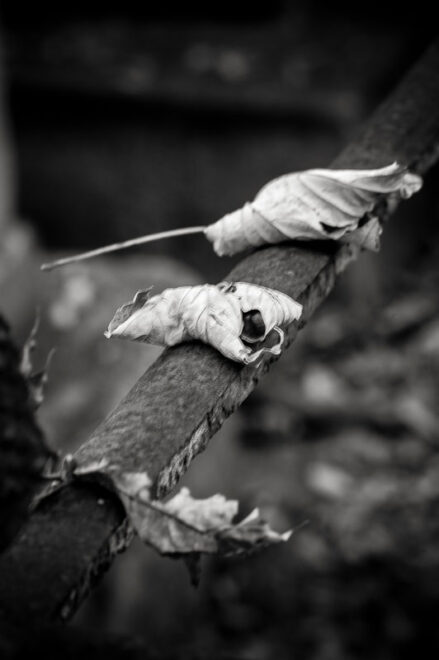 Vers l&rsquo;autre rive…