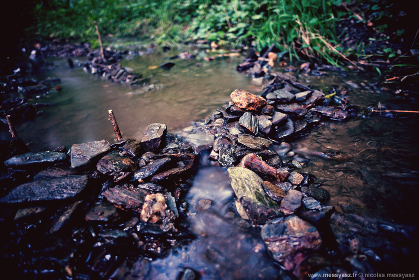 The Rolling Tones on the Stones