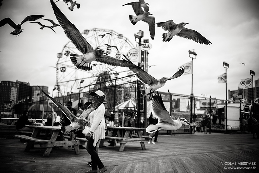 Wonder Wheel