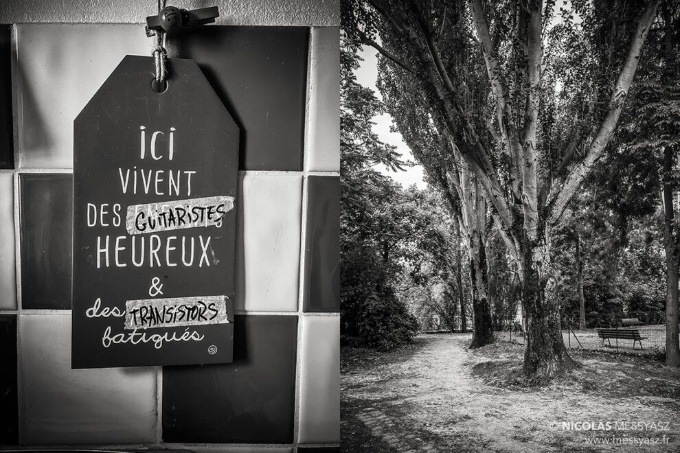 Transistors des Bois