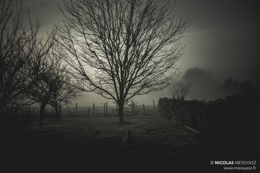 La Harpe des Baskerville