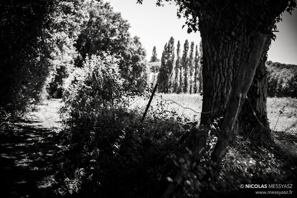 Le chemin du pain